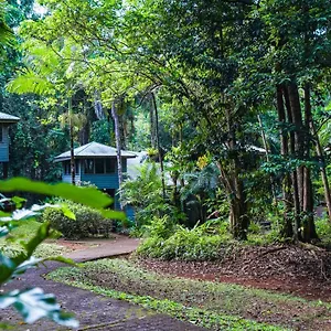 Lodge Ferntree Rainforest, Cape Tribulation