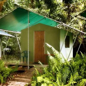 Hotel Jungle, Cape Tribulation